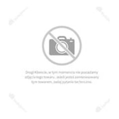 Tryton Tarcze diamentowe 125mm do pilarki dwutarczowej TPD860K - EATPD02