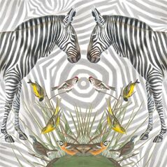 Museums & Galleries Karnet kwadrat Zebra z kopertą