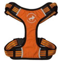 All For Dogs Szelki sportowe pomarańczowe r. L (70-125cm)