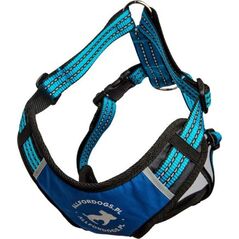 All For Dogs Szelki sportowe niebieskie r. L 70-125cm