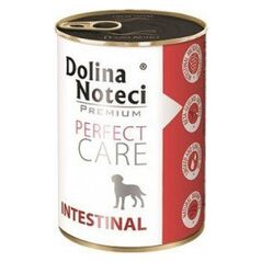 Dolina Noteci Perfect Care Intestinal 400g
