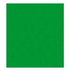 Polsirhurt Filc dekoracyjny zielony 20x30 10szt.