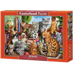 Castorland Puzzle 2000 House of Cats