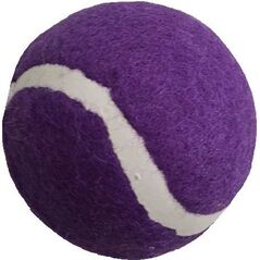 Enero PIŁKA TENIS ZIEMNY ENERO 1SZT FIOLETOWA