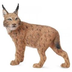 Figurka Collecta Ryś (004-88565)