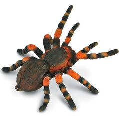 Figurka Collecta Ptasznik Czerwonokolanowy (004-88338)