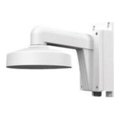 Kamera IP LevelOne LevelOne IPCam CAS-7316 Wandmontage-Set Alu mit Ans