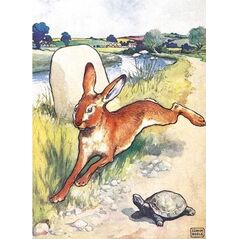 Museums & Galleries Karnet B6 z kopertą The Hare and the Tortoise