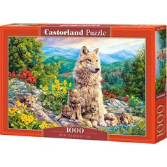 Castorland Puzzle 1000 New Generation CASTOR