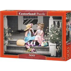 Castorland Puzzle 500 Ostatnie muśnięcie