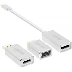 Adapter USB InLine USB-C - DisplayPort Biały  (64109S)
