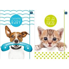 Interdruk Teczka z gumką A4+ LUX UV Puppy Sign (10szt)