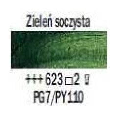 Artequipment TALENS REMBRANDT 40ML 623 - SAP GREEN - farba olejna uniw