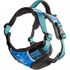 All For Dogs ALL FOR DOGS SZELKI 2x-SPORT NIEB. L