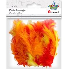 Titanum Piórka puch indyk mix kolorów 50szt