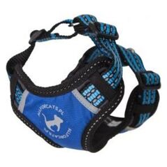 All For Dogs ALL FOR CATS SZELKI SPORTOWE S NIEB.