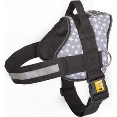 Dingo DINGO SZELKI STRONG AMERICA 50/62cm ALASKA