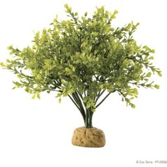 Exo Terra Roślina sztuczna – Boxwood Bush
