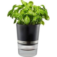 Gefu Gefu Botanico Herb Pot