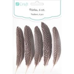 DP Craft Pióra bażanta DPCRAFT 18-20cm 5szt. Dalprint