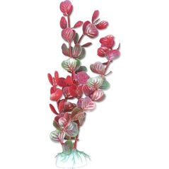 Happet Roślina blister 20cm 2b53 Happet