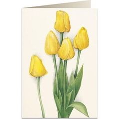 Tassotti Karnet B6 + koperta 7516 Żółte tulipany