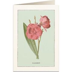 Tassotti Karnet B6 + koperta 6023 Oleander