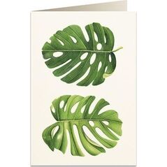 Tassotti Karnet B6 + koperta 6015 Monstera