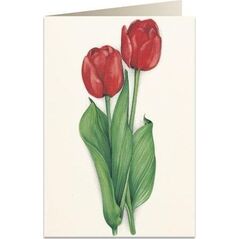 Tassotti Karnet B6 + koperta 7517 Czerwone tulipany