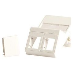 Lanview Wall plate, angled, for 2 x