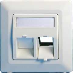 Lanview Wall plate, angled, 2 x