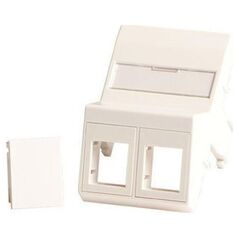 Lanview Wall plate, angled, 2 x