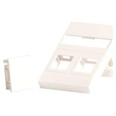 Lanview Wall plate for 2 x keystone.