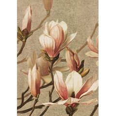Skona Ting Karnet ST400 B6 + koperta Magnolia