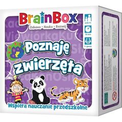 Rebel BrainBox - Poznaję zwierzęta