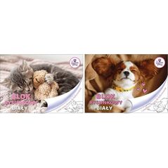 Beniamin Blok rysunkowy A4/20K biały The Sweet Pets
