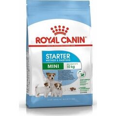 Royal Canin SHN Mini Starter M&B 8 kg