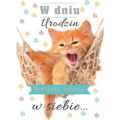 Trend Kartka okolicznościowa Urodziny TS10