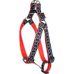 Dino DINO SZELKI TAŚMA REG. IVO 20mm KWIAT dł. 40-60cm