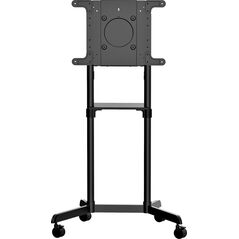 StarTech Stojak podłogowy MBLTVSTNDEC 37'' - 70''