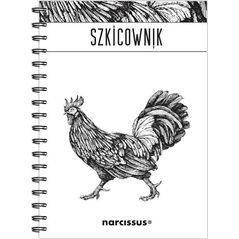 Narcissus Szkicownik B5 60k na spirali - Kogut