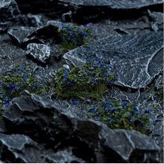 Gamers Grass Gamers Grass: Blue Flowers (Wild)