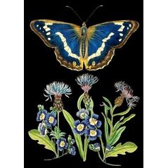 Madame Treacle Karnet B6 z kopertą Niebieski motyl
