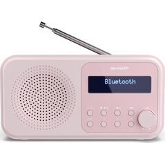 Radio Sharp DR-P420(PK)