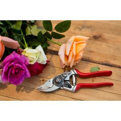 Sekator Felco 14 nożycowy