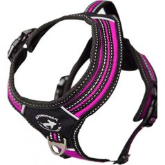 All For Dogs ALL FOR DOGS SZELKI 3x-SPORT RÓŻ M