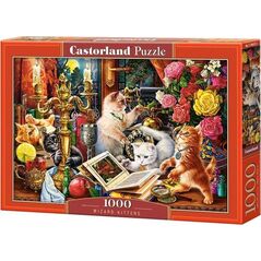 Castorland Puzzle 1000 Wizard Kittens CASTOR