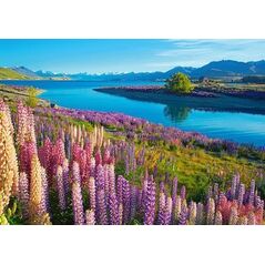 Castorland Puzzle 500 element?w Jezioro Tekapo Nowa Zelandia