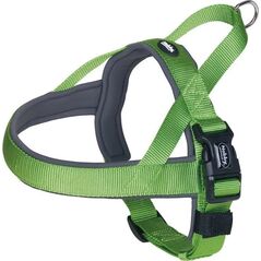 Nobby NOBBY CLASSIC PRENO SZELKI  L-XL ZIELONE 68-85cm| 40/45