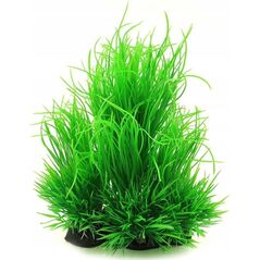 Aqua Nova AQUA NOVA ROŚLINA PLASTIKOWA 21 cm NP-21  6015-R